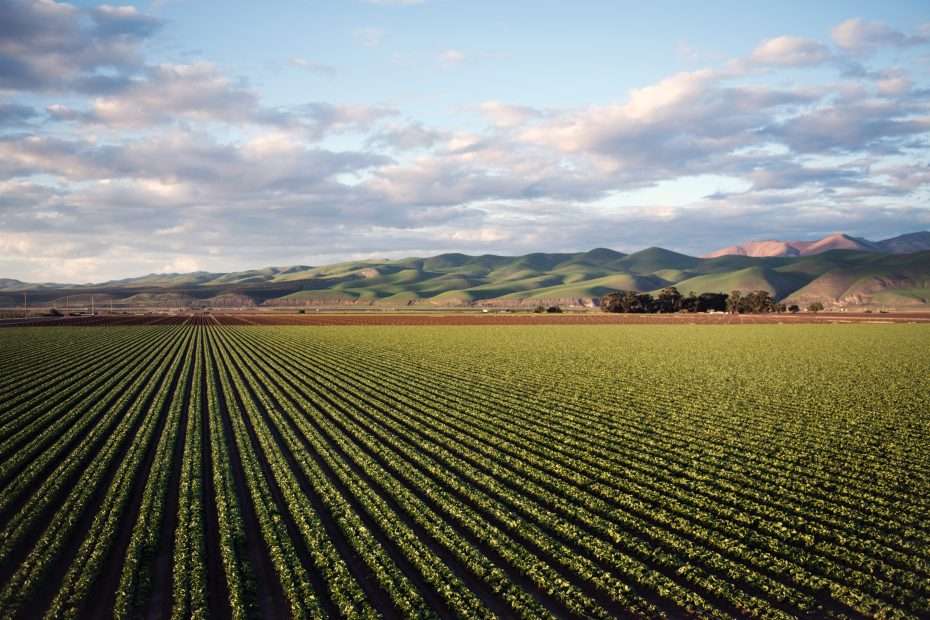 We must mitigate access to water for sustainable agriculture and food security