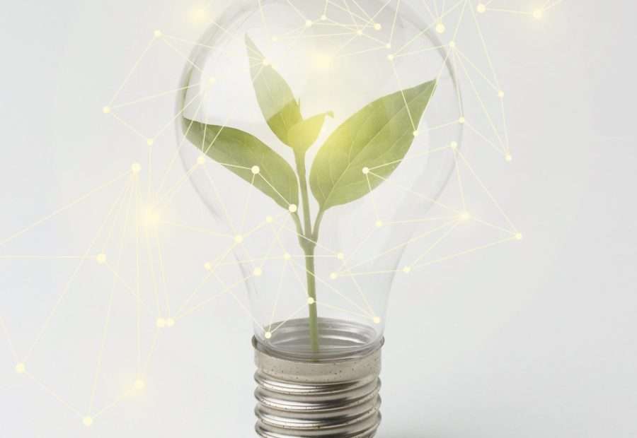 As we pursue a thrivable future, we must commit to improving agricultural practices