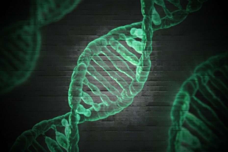 Biotechnological innovations can create a thrivable future