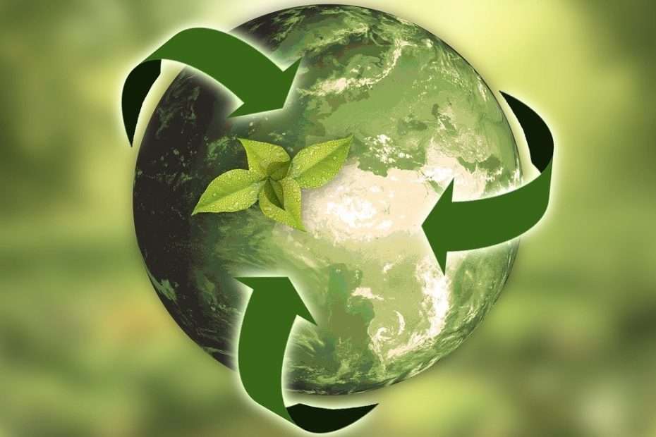 ESG vs sustainability: what is it?