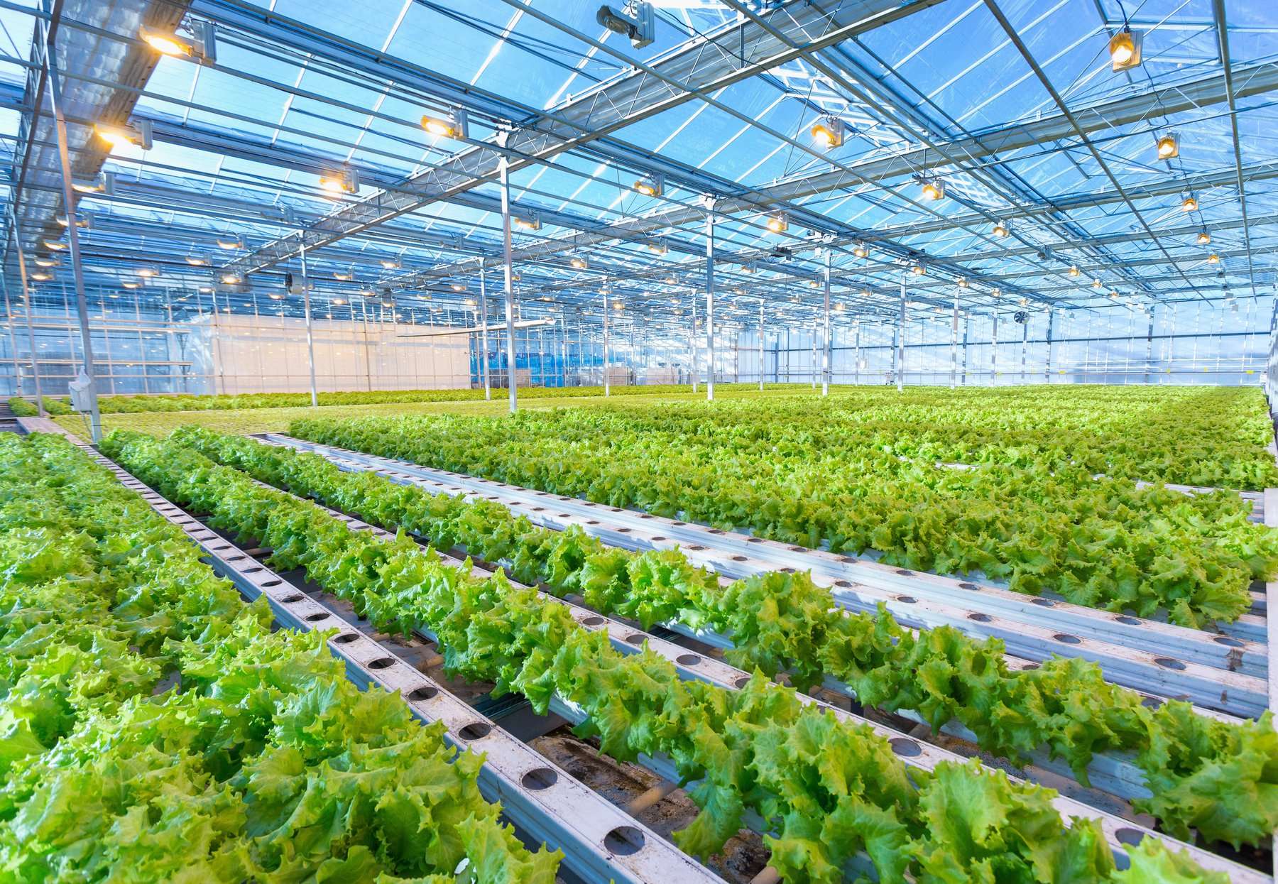 Green Technology is one of the best approaches for improving agricultural practices.