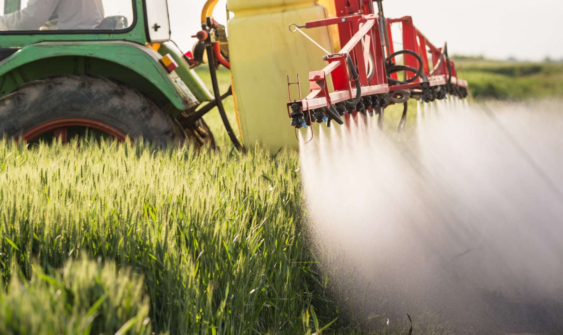 Chemical pesticides used for agricultural pest management cause numerous harmful effects on soil and related ecosystems- we need to take steps that work toward improving agricultural practices.