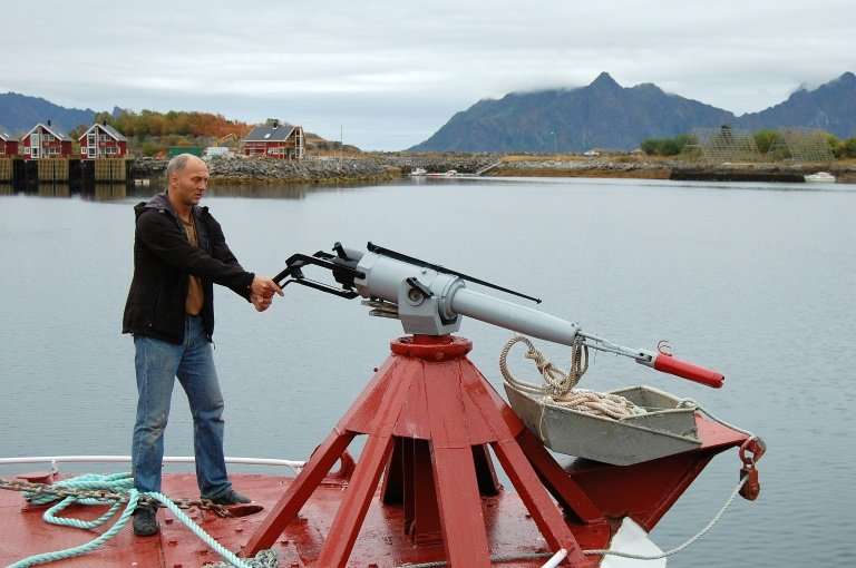 Whale hunting with a harpoon gun at sea.
