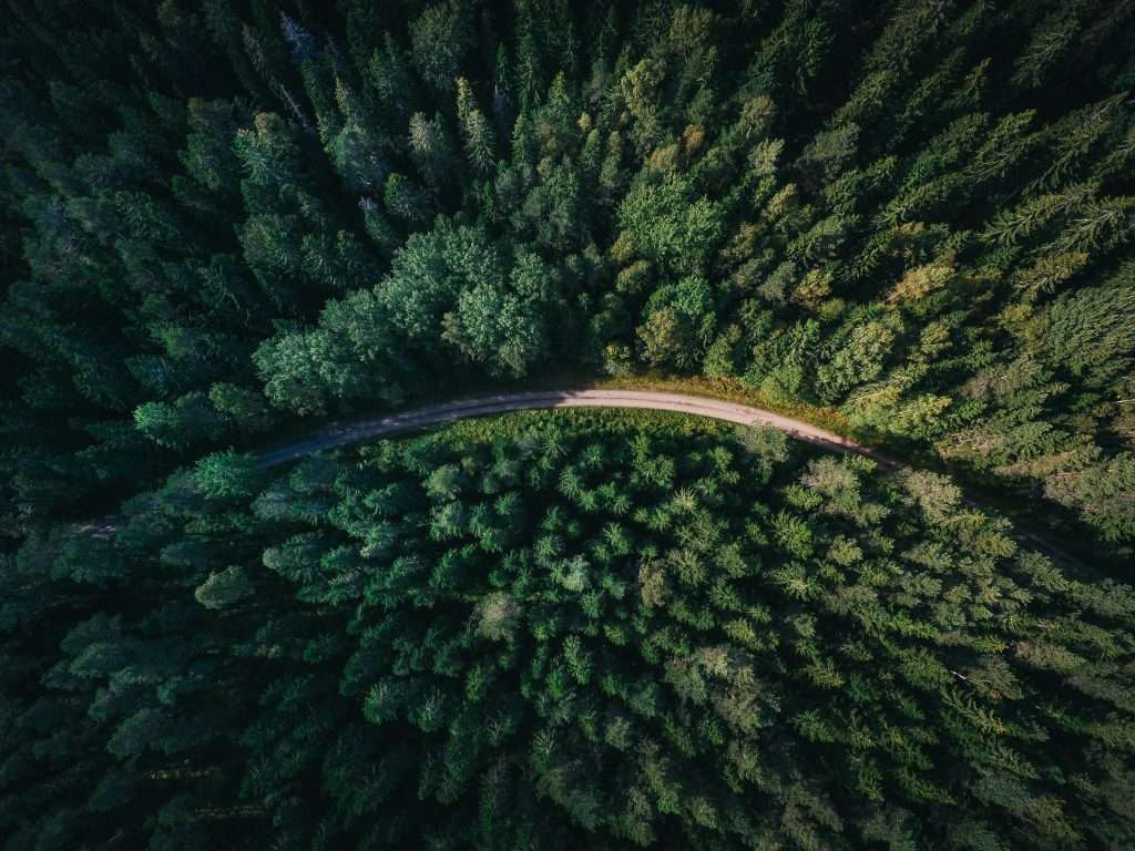 A smart environmental strategy minimises ecological damage.
