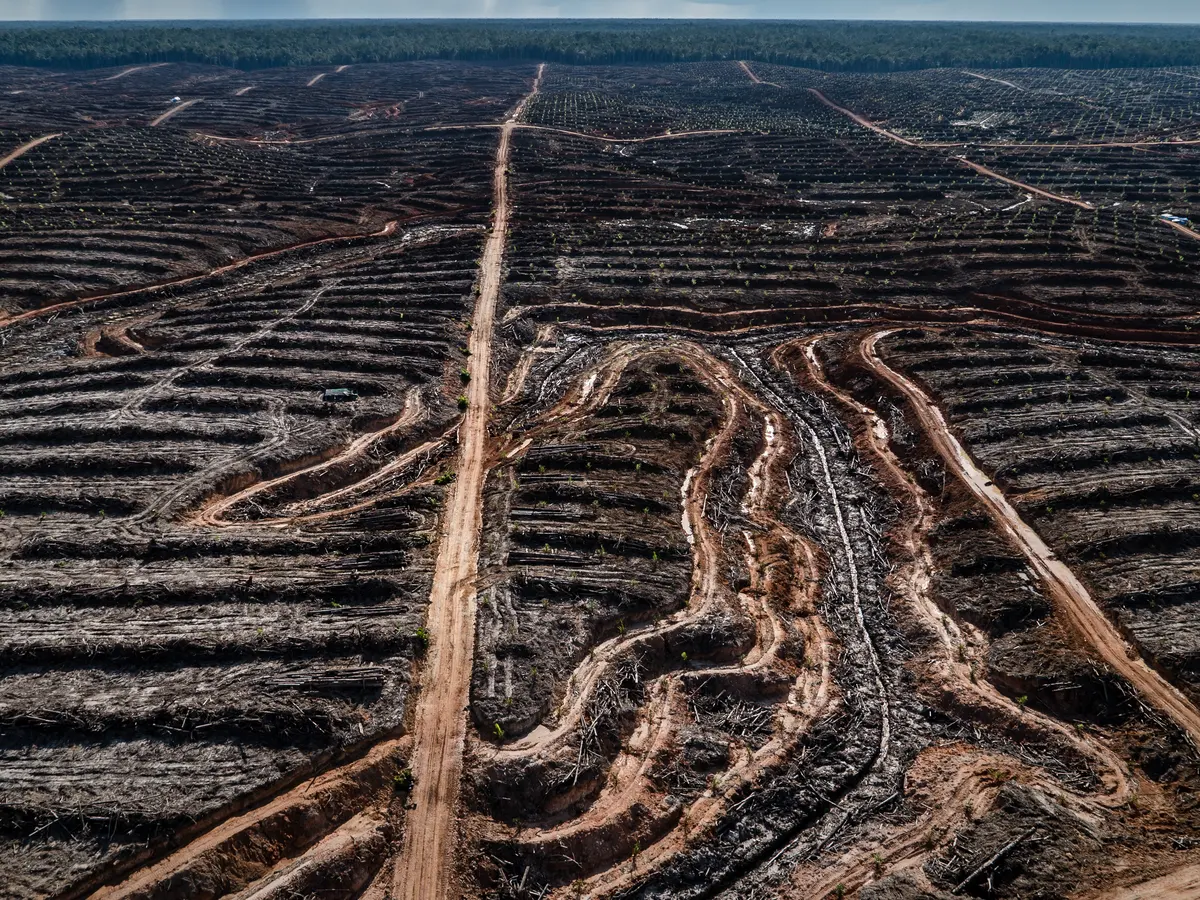 Human society is under urgent threat from the loss of natural life on Earth.
