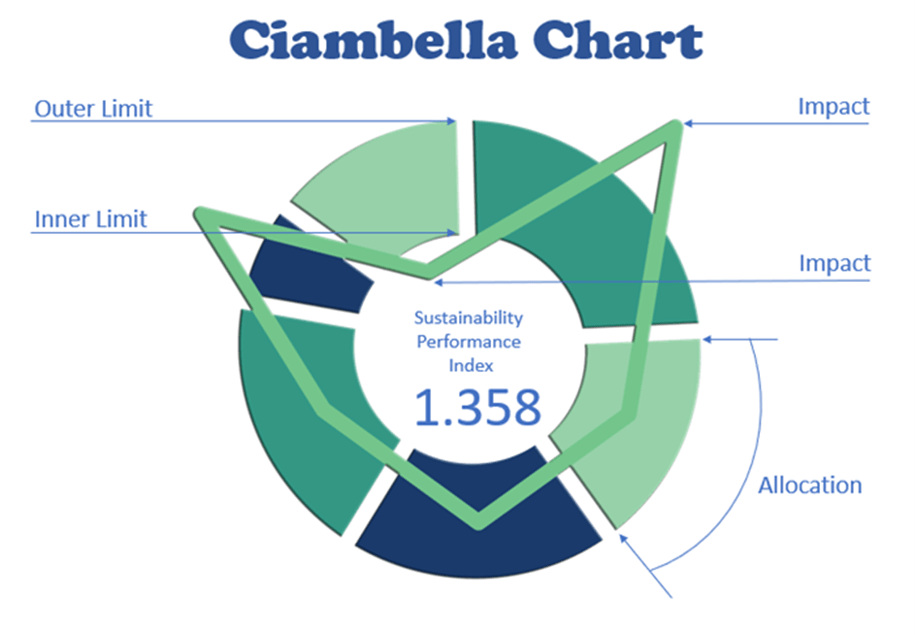 The Ciambella Chart demonstrates how THRIVE uses a systemic holistic model.