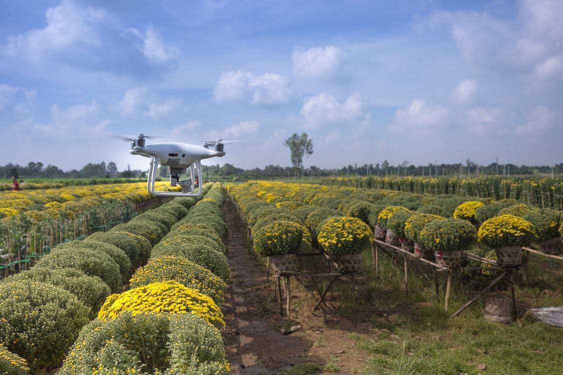 The eradication of global poverty and hunger in developing countries represents a major challenge that is dependent on agricultural productivity and the discerning application of science and technology to ensure the health of people and environments globally.