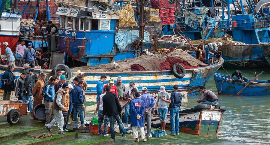 Communities that depend on fishing demonstrate the relationship between biodiversity and poverty alleviation.
