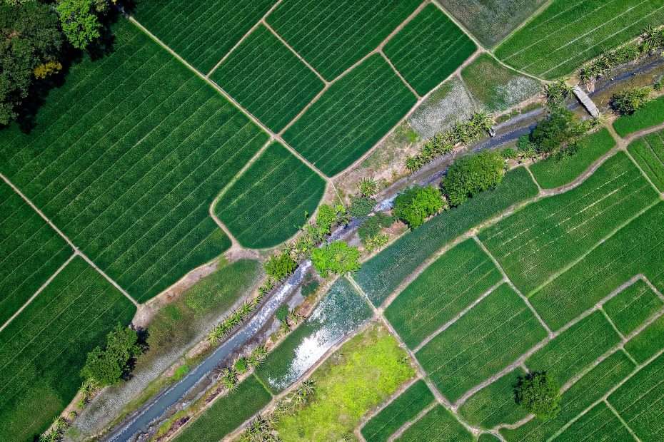There is great importance to sustainable farming