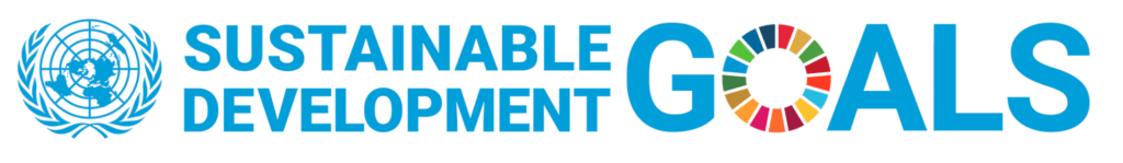 Key sustainable development goals.