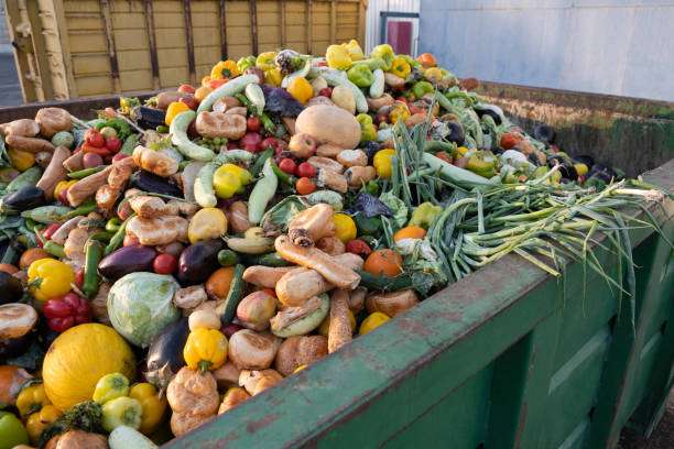 Expired vegetables and fruits in a container. 