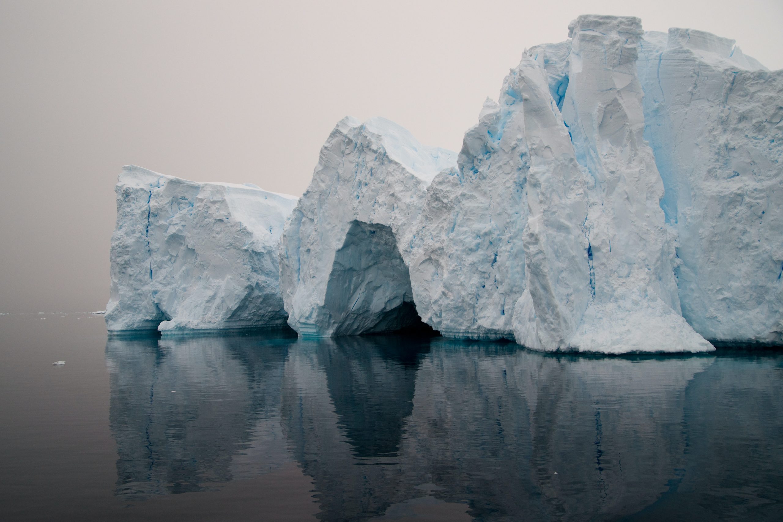 Rising sea levels don't just pose a threat to coastal areas, they also affect wildlife and ocean currents.